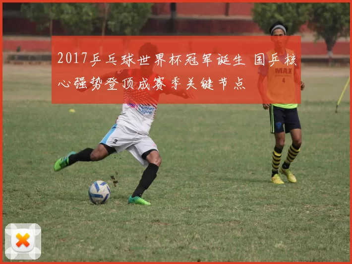 2017乒乓球世界杯冠军诞生 国乒核心强势登顶成赛季关键节点