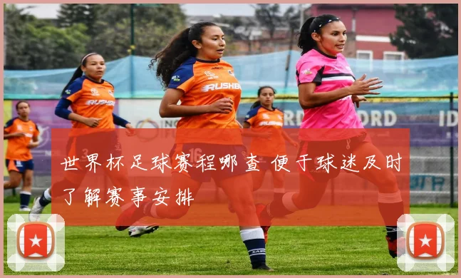 世界杯足球赛程哪查 便于球迷及时了解赛事安排