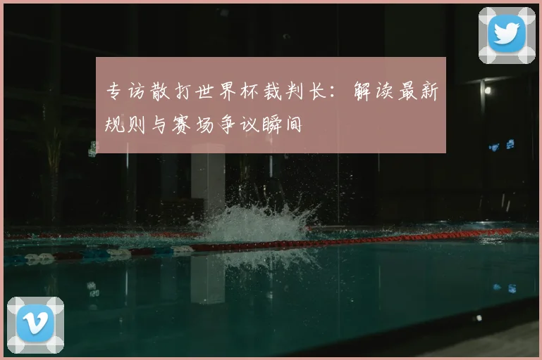 专访散打世界杯裁判长：解读最新规则与赛场争议瞬间
